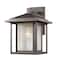 Z-Lite Aspen 1 Light Outdoor, Oil Rubbed Bronze And Clear Seedy 554M-ORB - alternate 1